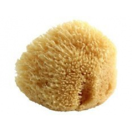 Přírodní mořská houba POUPY