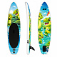 Aga Dětský Paddleboard DS2211 305x81x15 cm