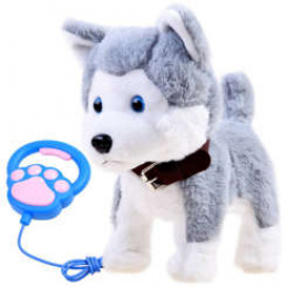 Interaktivní pes Husky na vodítku 6DZ065 - II. JAKOST