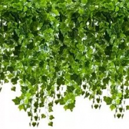 Závěsný břečťan drobnolistý umělý 50,4 m Gardlov 19737