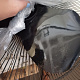 Aga Stojanový ventilátor 43 cm Černý 6DAZ501 - II.JAKOST